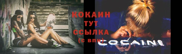 ПСИЛОЦИБИНОВЫЕ ГРИБЫ Белоозёрский