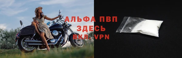 амф Белокуриха
