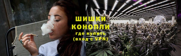 ПСИЛОЦИБИНОВЫЕ ГРИБЫ Белоозёрский