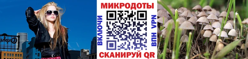 Псилоцибиновые грибы мицелий  Заволжск 